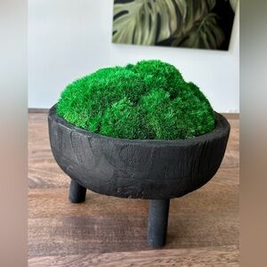 Preserved Moss Centerpiece , wood bowl